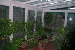 DSCN1241